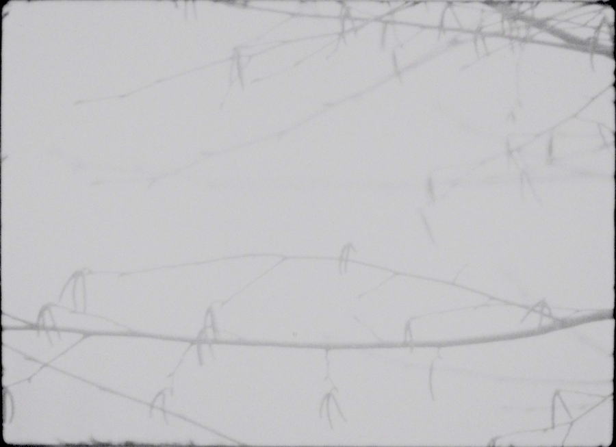 Still from Kolmar Park video