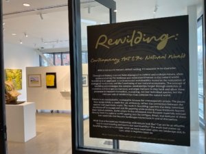 Gallery photo of Rewilding exhibition at Fishers Art Center, showing wall exhibition statement text.