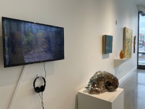 Gallery photo of Rewilding exhibition at Fishers Art Center.